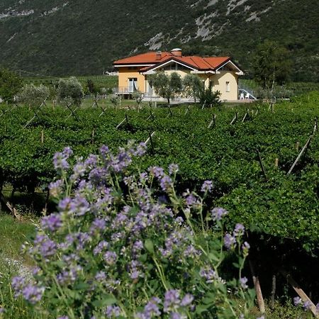 Appartamenti Al Vigneto Dro Dış mekan fotoğraf