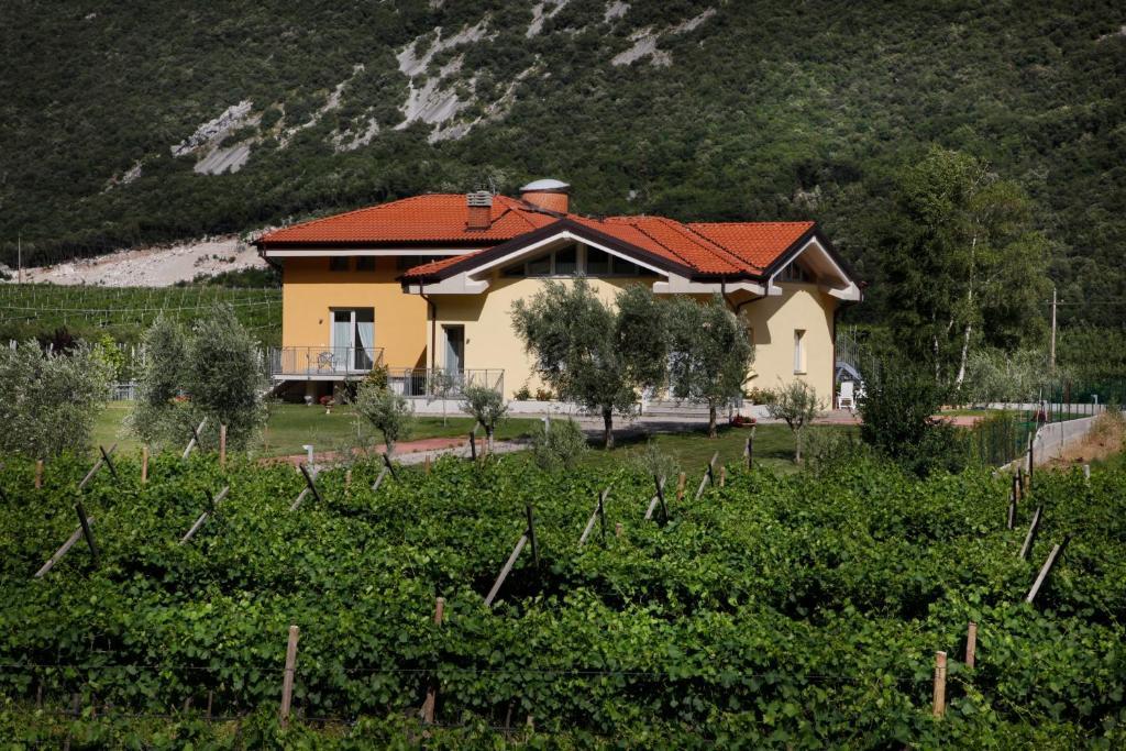 Appartamenti Al Vigneto Dro Dış mekan fotoğraf
