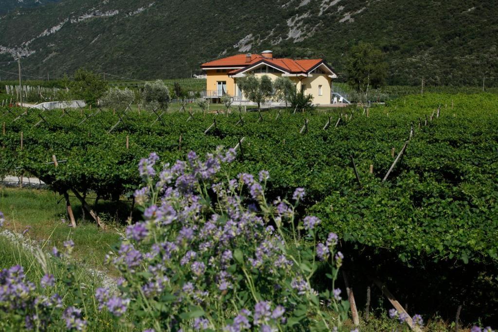 Appartamenti Al Vigneto Dro Dış mekan fotoğraf